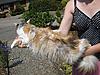 Update on Mimi..... Think she is just coming in to call!!-150589_108285079243300_100001854263818_71995_4581791_n.jpg