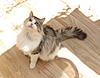 Our Wondeful Aphrodite....-img_0325.jpg