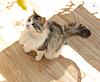 Our Wondeful Aphrodite....-img_0326.jpg