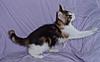 Our Wondeful Aphrodite....-p3170016.jpg