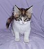Our Wondeful Aphrodite....-p3170015.jpg