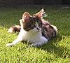 Our Wondeful Aphrodite....-4.jpg