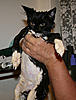IMG_7219.jpg
