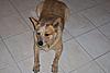 000_0011-1.jpg
