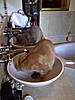 IMG-20110422-00354.jpg
