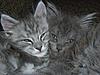 Brotherly Love-cimg3421.jpg