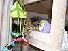 Lazing on a Sunday Afternoon ...-g-m1.jpg