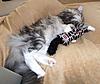 Lazing on a Sunday Afternoon ...-g-m4.jpg