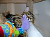 Lazing on a Sunday Afternoon ...-g-m2.jpg