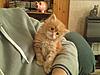 Eric at 5 weeks old-eric-awake-5-weeks.jpg