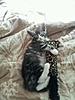 Storm's new home :)-254917_10150626999705026_568705025_18804934_1980375_n.jpg