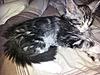 Storm's new home :)-2011-05-28_10.52.59.jpg