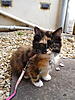 Bath Time-p1000756.jpg