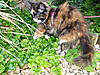 Bath Time-p1000753.jpg
