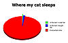 New bed...-cat-piechart.jpg