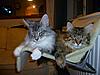 It's been a while and haven't they grown!-g-m2.jpg