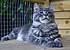 Little Dot 2 months update.-dot-22-7-2011-image-4r.jpg