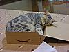 How to sleep in a box-image1.jpg