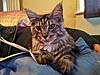 Click image for larger version. 

Name:	2011-07-06 21.10.19.jpg 
Views:	33 
Size:	90.4 KB 
ID:	3377