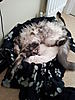Click image for larger version. 

Name:	2011-07-23 12.02.32.jpg 
Views:	36 
Size:	89.4 KB 
ID:	3380