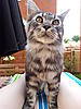 Click image for larger version. 

Name:	2011-07-30 16.08.58.jpg 
Views:	36 
Size:	93.9 KB 
ID:	3382