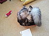 Click image for larger version. 

Name:	2011-08-05 08.42.11.jpg 
Views:	35 
Size:	90.8 KB 
ID:	3384