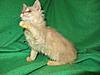 Corrigan and Mimi have babies-kitties-059.jpg