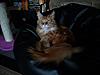 Click image for larger version. 

Name:	Sunshinebeanbag.jpg 
Views:	17 
Size:	33.0 KB 
ID:	3642