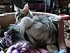 Click image for larger version. 

Name:	toyshadow.jpg 
Views:	17 
Size:	63.3 KB 
ID:	3643