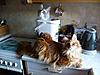 Click image for larger version. 

Name:	sunnyandshad.jpg 
Views:	16 
Size:	51.7 KB 
ID:	3647