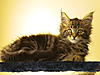 5 more sleeps...-dscn1820.jpg