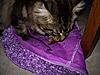 Click image for larger version. 

Name:	100_2226.jpg 
Views:	27 
Size:	97.4 KB 
ID:	376