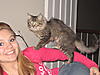 Does Lilly sound like a Maine Coon?-newkitty-009.jpg