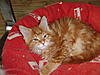 New arrival-crystal-day77.jpg
