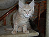 New arrival-douglas-day77.jpg