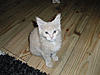 New arrival-morwenna-day77.jpg