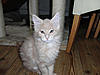 New arrival-muriel-day77.jpg
