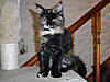 New arrival-salsa-day77.jpg