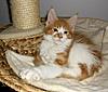 Click image for larger version. 

Name:	azar.jpg 
Views:	13 
Size:	52.7 KB 
ID:	4131