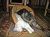 It's a love-in....-dscn2395.jpg