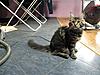 DSCN9388.JPG
