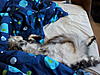 Rasputin is 1 today-2011-11-13-12.35.09.jpg