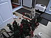 Christmas Trees, Decorations and Presents-dscf3407.jpg