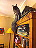 Click image for larger version. 

Name:	IMG_0164.jpg 
Views:	27 
Size:	97.5 KB 
ID:	4977