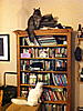 Click image for larger version. 

Name:	IMG_0166.jpg 
Views:	26 
Size:	97.2 KB 
ID:	4978