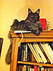 Click image for larger version. 

Name:	IMG_0175.jpg 
Views:	25 
Size:	97.7 KB 
ID:	4979