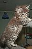 Click image for larger version. 

Name:	7 weeks x3.jpg 
Views:	28 
Size:	45.1 KB 
ID:	5039