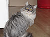 Eclipse MYRDDIN EMRYS-20120205_9.jpg