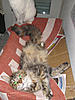 Click image for larger version. 

Name:	20120223_1.jpg 
Views:	34 
Size:	97.1 KB 
ID:	5290