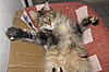 Click image for larger version. 

Name:	20120223_5.JPG 
Views:	30 
Size:	96.4 KB 
ID:	5292
